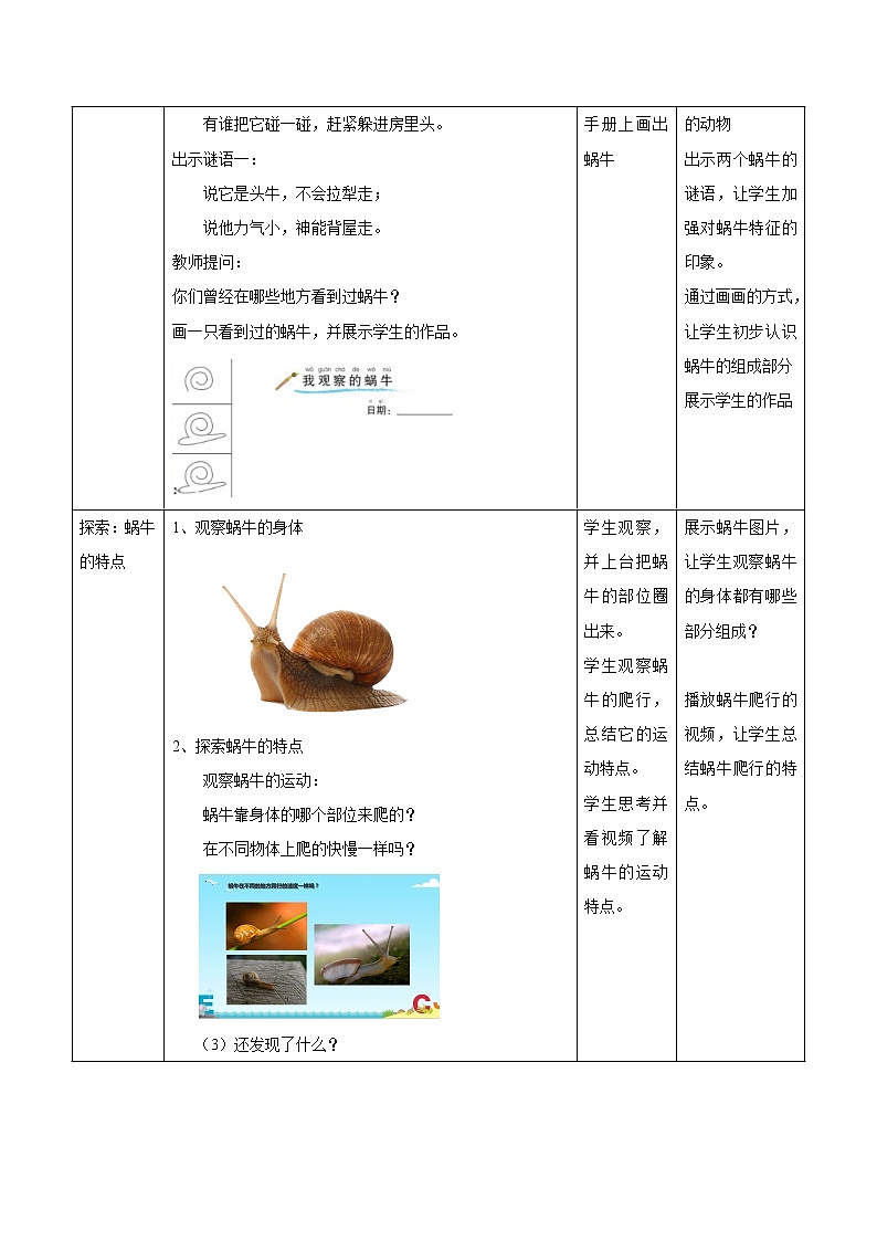 第二单元 第3课 观察一种动物 教案 小学科学教科版（2017）一年级下册（2022年）02