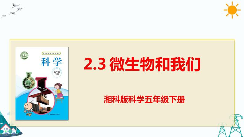 湘科版五年级下册科学2.3 微生物和我们 课件第1页