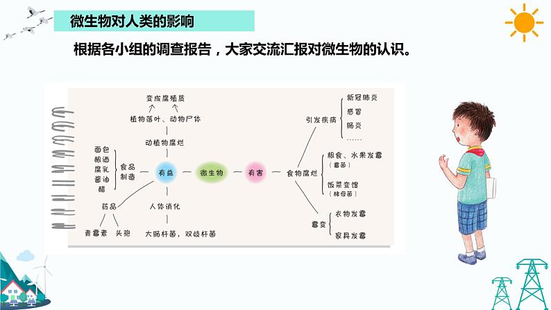 湘科版五年级下册科学2.3 微生物和我们 课件第5页