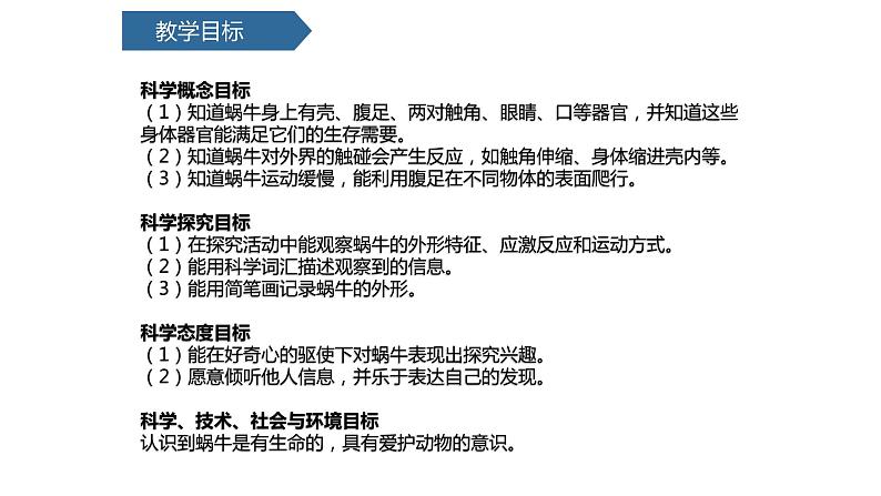 教科版一年级下册科学2.3观察一种动物PPT课件全套完整版第2页