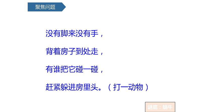 教科版一年级下册科学2.3观察一种动物PPT课件全套完整版第3页