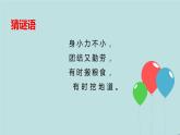 教科版一年級下冊科學2.2校園里的動物PPT課件全套完整版