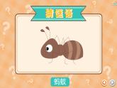 教科版一年級下冊科學2.2校園里的動物PPT課件全套完整版