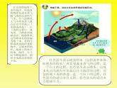 16、水滴的“旅行”课件PPT
