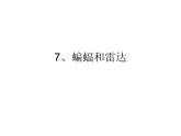 7、海豚与声呐课件PPT