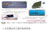 7、海豚与声呐课件PPT