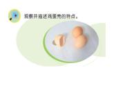 6、蛋殼與拱形建筑課件PPT