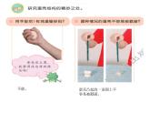 6、蛋殼與拱形建筑課件PPT