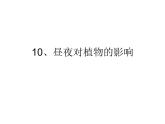 10、晝夜對植物的影響課件PPT