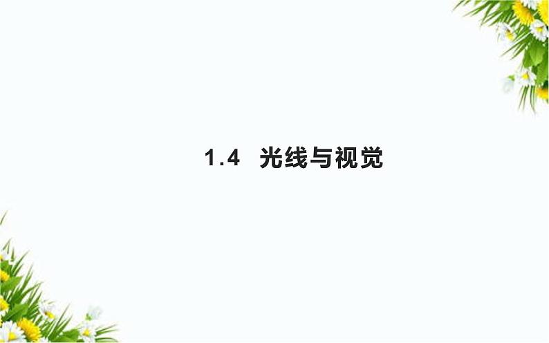 大象版五年级下册科学1.4 光线与视觉课件01