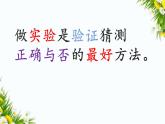 大象版五年级下册科学1.4 光线与视觉课件