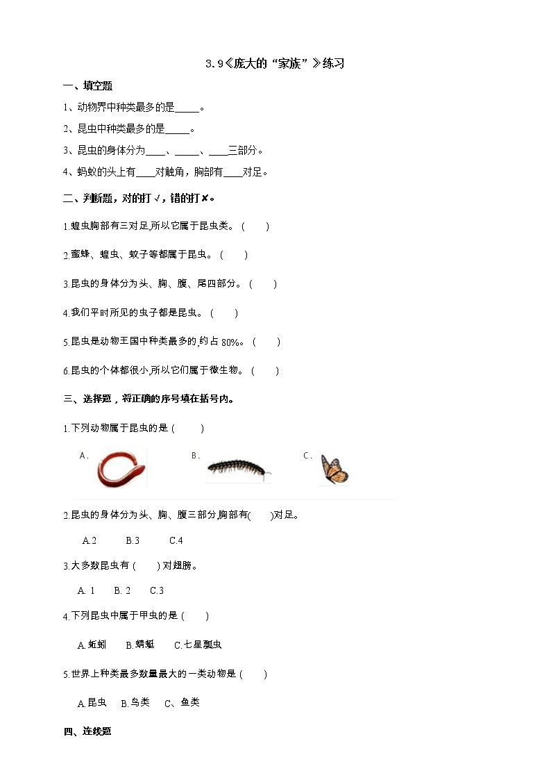 苏教版四年级科学下册3.9《庞大的“家族”》练习（含答案）课时练习第1页