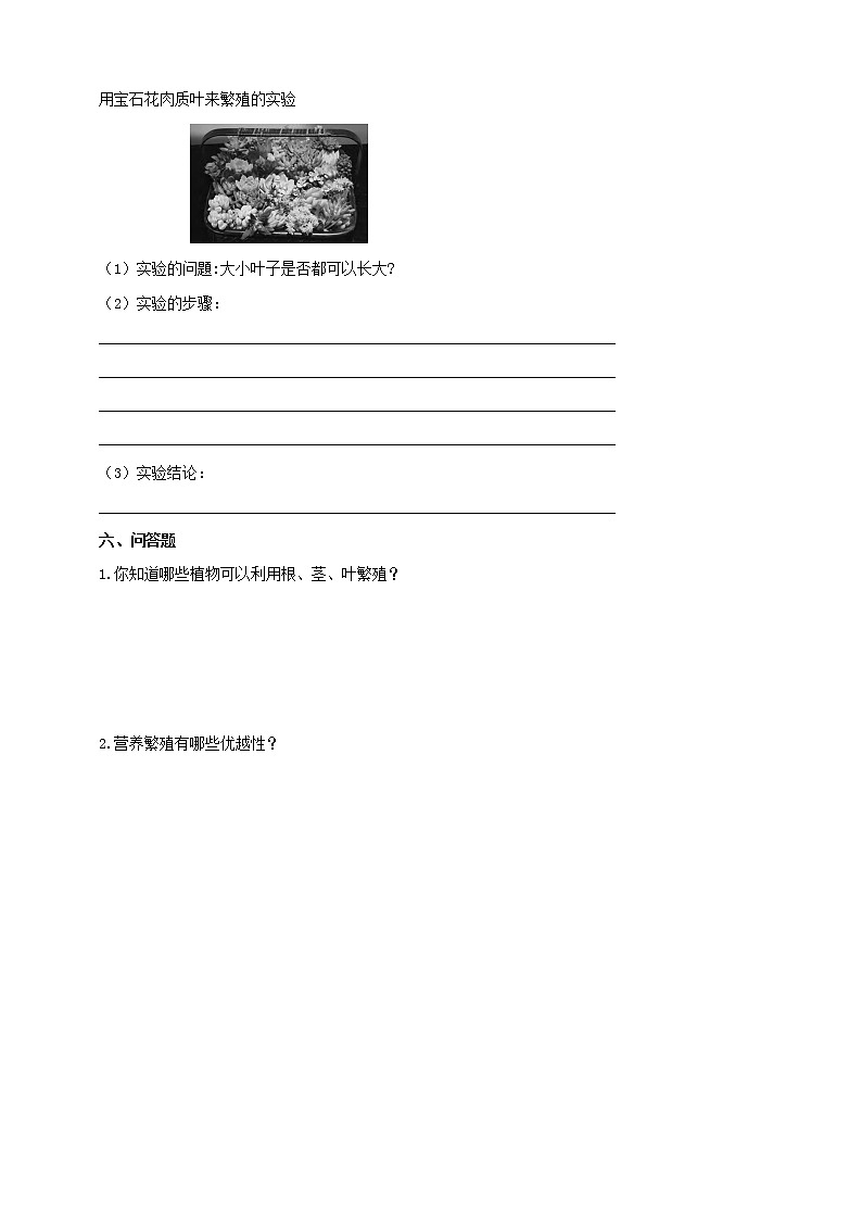 苏教版四年级科学下册4.13《用根、茎、叶繁殖》练习（含答案）课时练习第2页