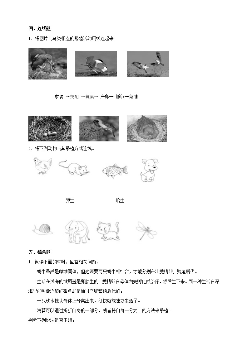 苏教版四年级科学下册4.14《动物的繁殖》练习（含答案）课时练习02