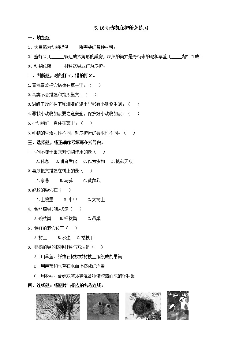 苏教版四年级科学下册5.16《动物的庇护所》练习（含答案）课时练习01