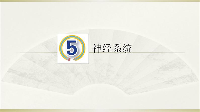 小学科学青岛版五四制五年级下册第5课《神经系统》课件3.pptx01