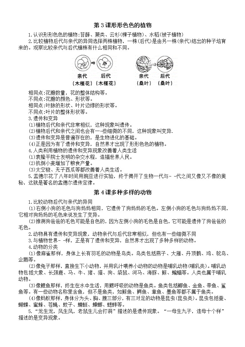 小学科学教科版六年级下册第二单元《生物的多样性》知识点整理（共7课）6（2022新版）.doc第2页