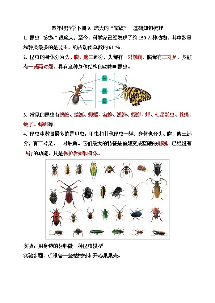 【精】四年级科学下册9.庞大的“家族”++（苏教版）基础知识梳理第1页