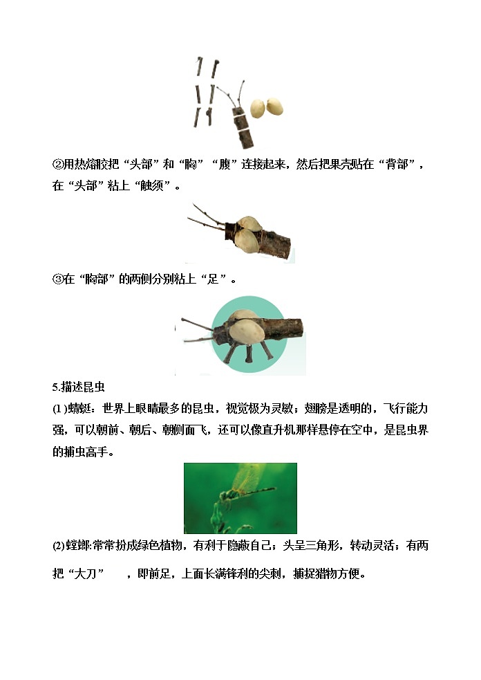 【精】四年级科学下册9.庞大的“家族”++（苏教版）基础知识梳理第2页