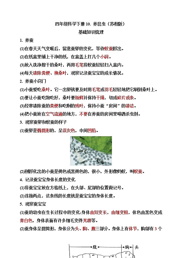 【精】四年级科学下册10.养昆虫（苏教版）基础知识梳理第1页