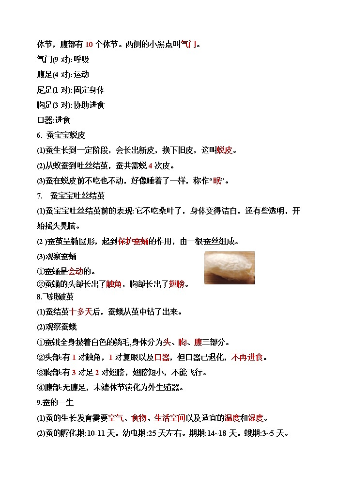 【精】四年级科学下册10.养昆虫（苏教版）基础知识梳理第2页