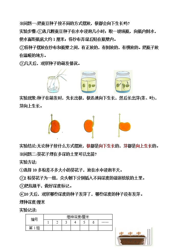 【精】四年级科学下册12++用种子繁殖+（苏教版）基础知识梳理第2页