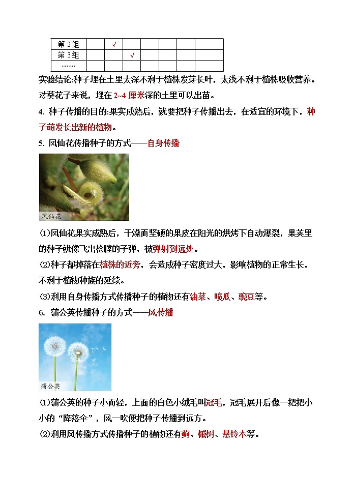 【精】四年级科学下册12++用种子繁殖+（苏教版）基础知识梳理第3页