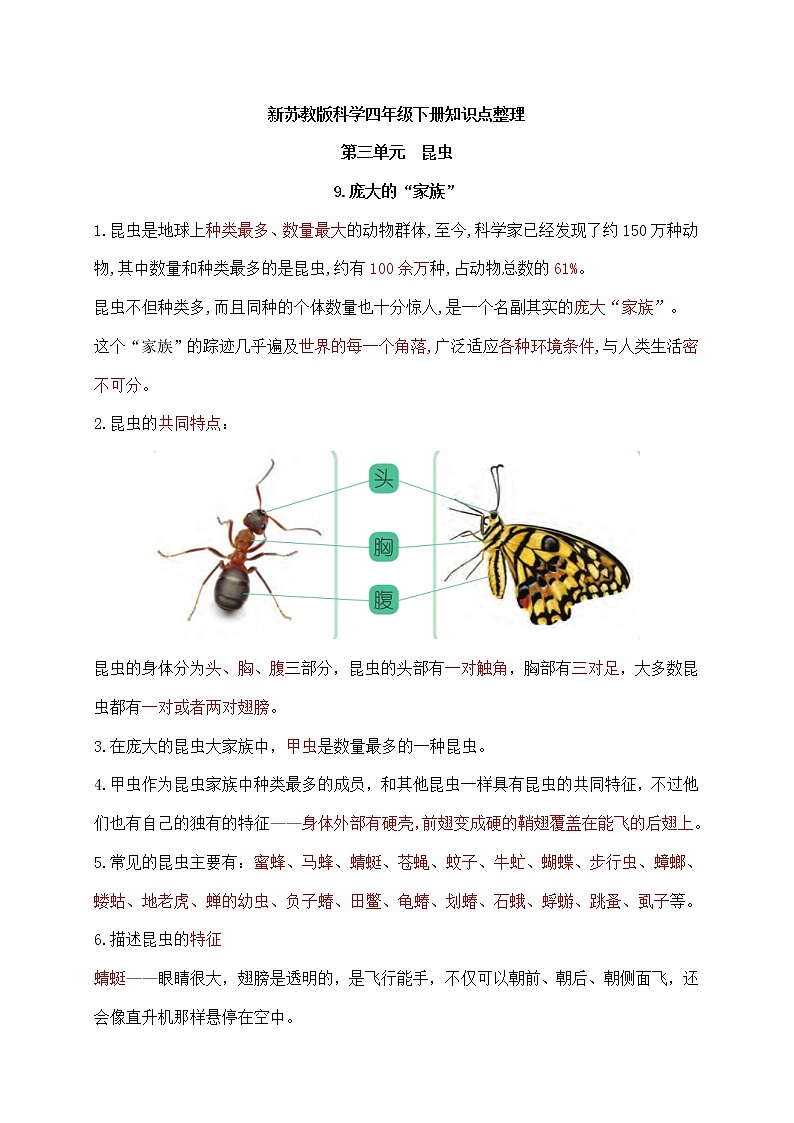 新苏教版科学四年级下册第三单元《昆虫》知识点整理第1页