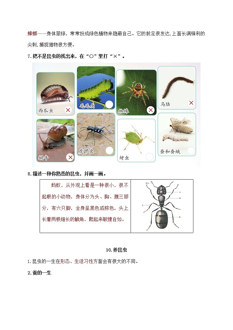 新苏教版科学四年级下册第三单元《昆虫》知识点整理第2页