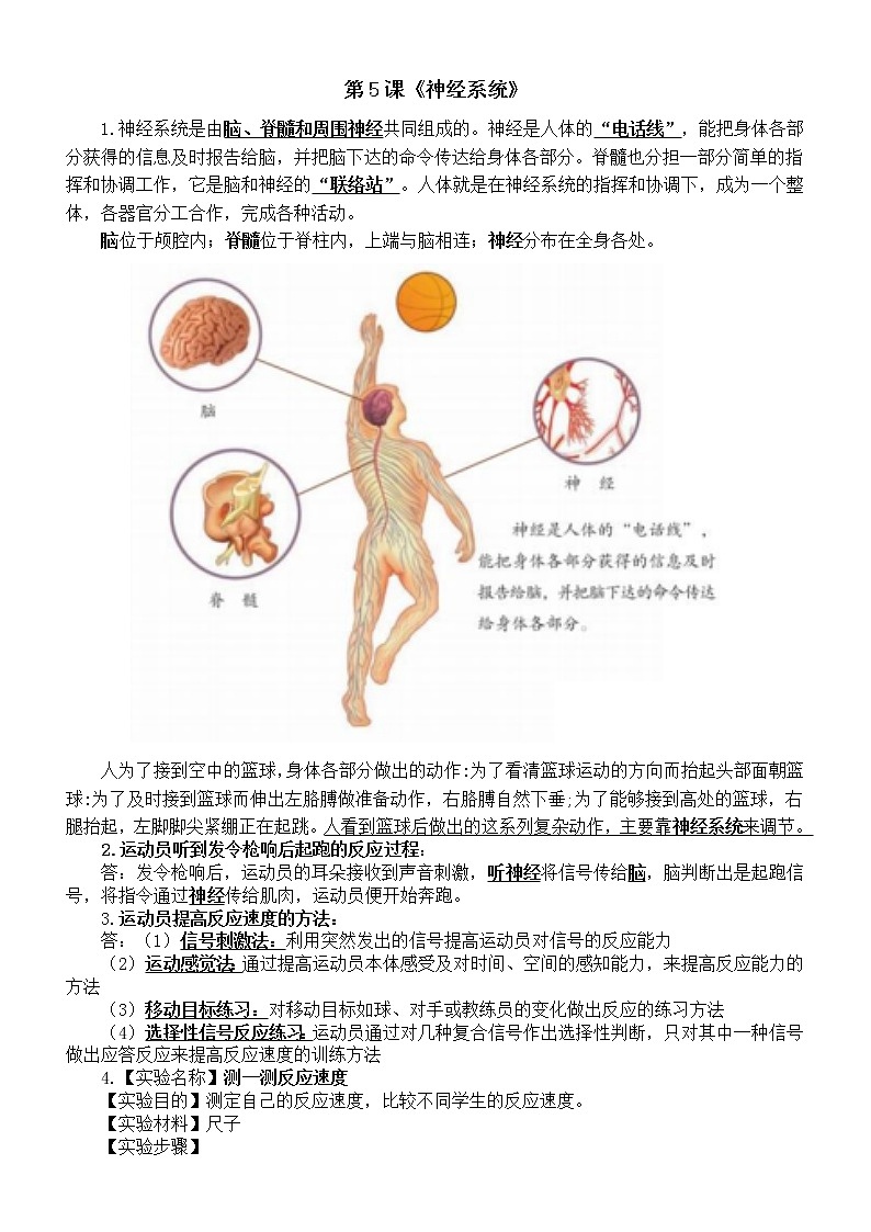 小学科学青岛版五四制五年级下册第二单元第5课《神经系统》知识点整理01
