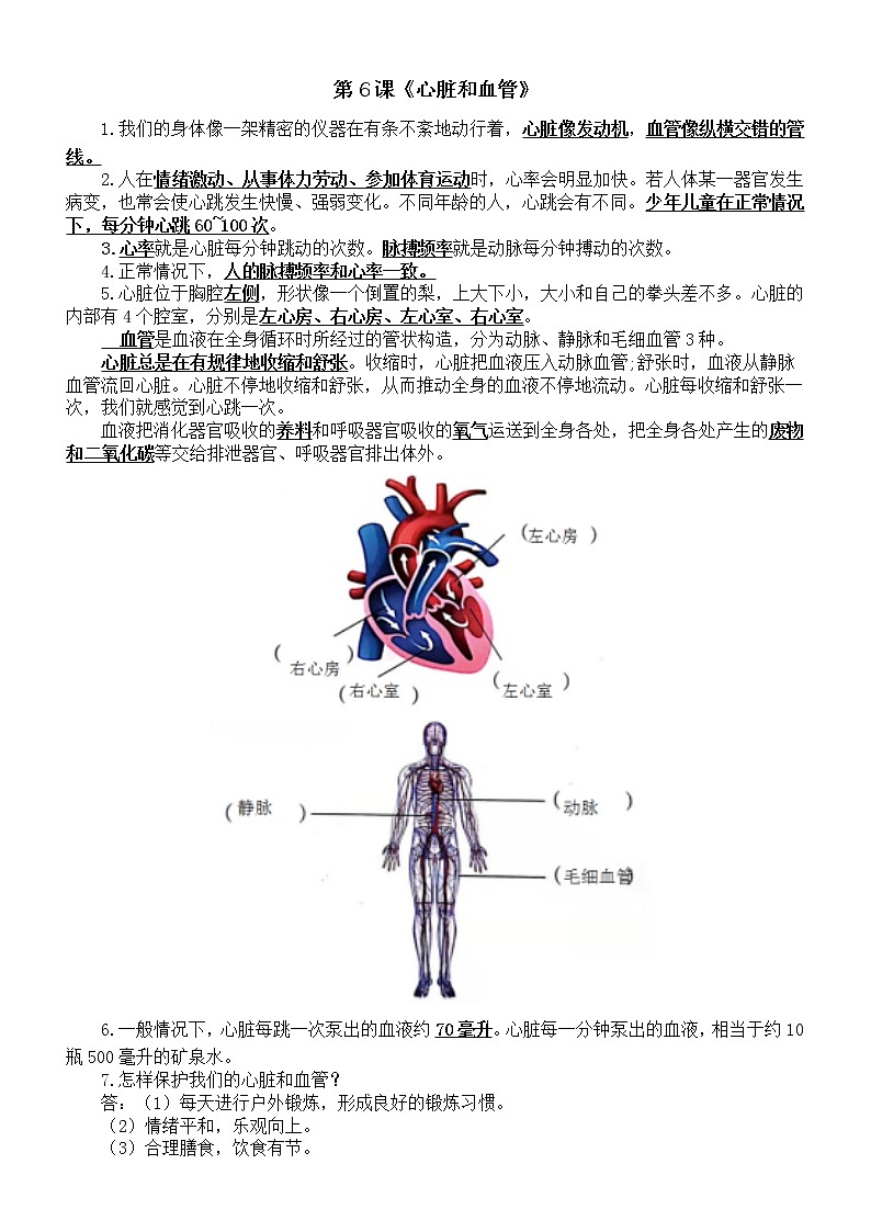 小学科学青岛版五四制五年级下册第二单元第6课《心脏和血管》知识点整理第1页
