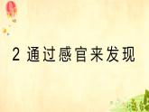 教科版（2017秋）科学二年级下册 通过感官来发现（课件）