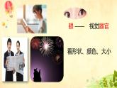 教科版（2017秋）科学二年级下册 通过感官来发现（课件）