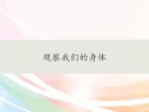 教科版（2017秋）科学二年级下册 观察我们的身体(7)（课件）