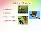 教科版（2017秋）科学二年级下册 观察我们的身体(7)（课件）