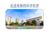教科版（2017秋）科学二年级下册 做一个指南针（课件）