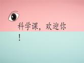 教科版（2017秋）科学二年级下册 通过感官来发现-（课件）