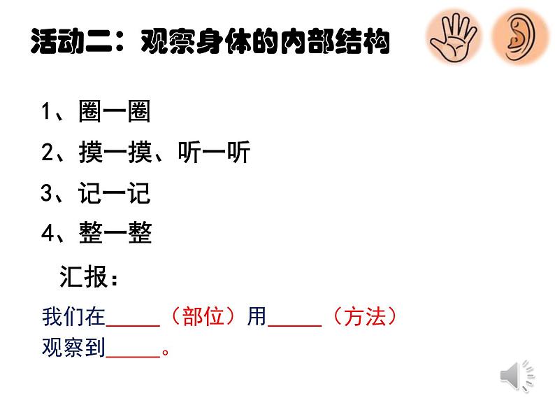 教科版（2017秋）科学二年级下册 观察我们的身体（课件）第7页