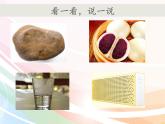 教科版（2017秋）科学二年级下册 通过感官来发现(1)（课件）