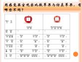 教科版（2017秋）科学二年级下册 3.观察与比较（课件）