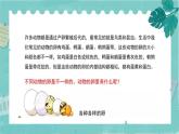 2-2认识其他动物的卵 课件PPT+教案+素材