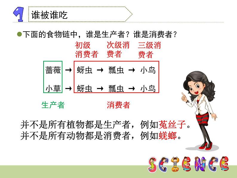 教科版科学五年级下册食物链和食物网PPT课件第7页