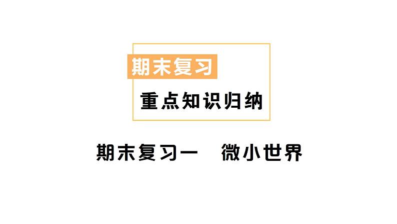 教科版科学六年级上册期末复习一微小世界PPT课件01