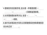 教科版科学六年级上册期末复习一微小世界PPT课件