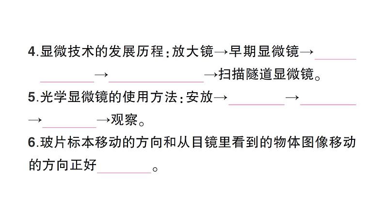 教科版科学六年级上册期末复习一微小世界PPT课件03