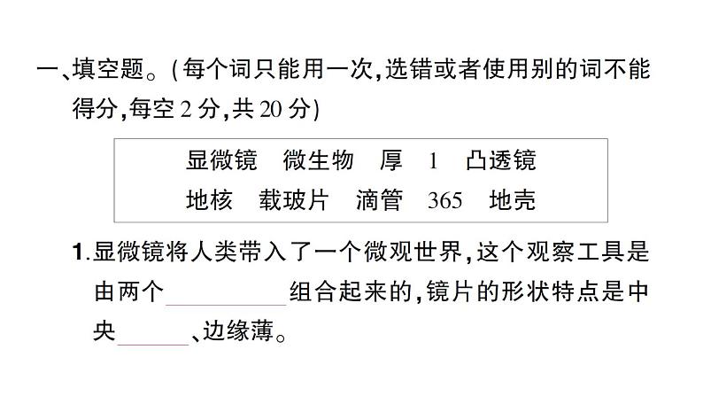 教科版科学六年级上册期中测试卷PPT课件02