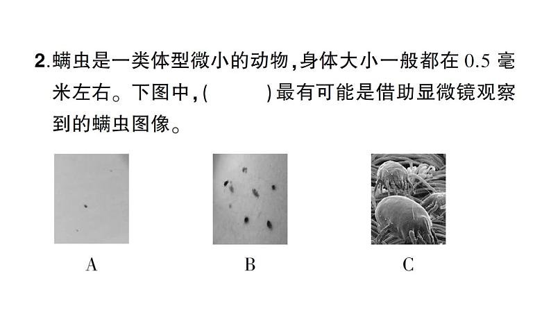 教科版科学六年级上册期末测试卷（二）PPT课件08