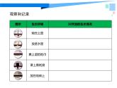 苏教版（2017秋）科学二年级下册 7 栽小葱（课件）