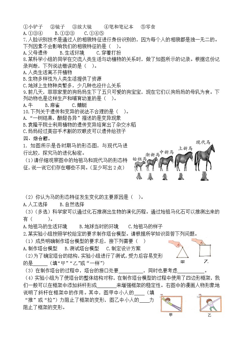 新教科版（2017秋）六年级科学期中达标测试卷（含答案）第2页