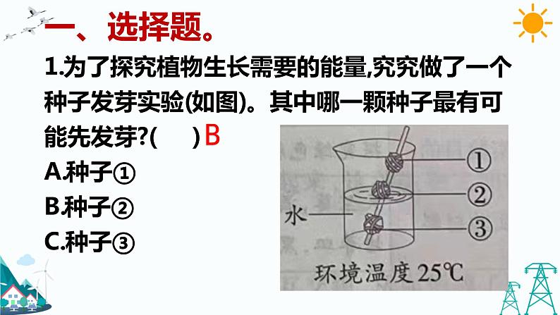 大象版五年级下册科学4.3 植物的“食物” 课件02